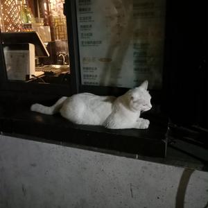 国V精品㊙️久久久网
