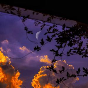 国V精品㊙️久久久网
