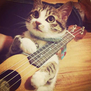 国V精品㊙️久久久网
